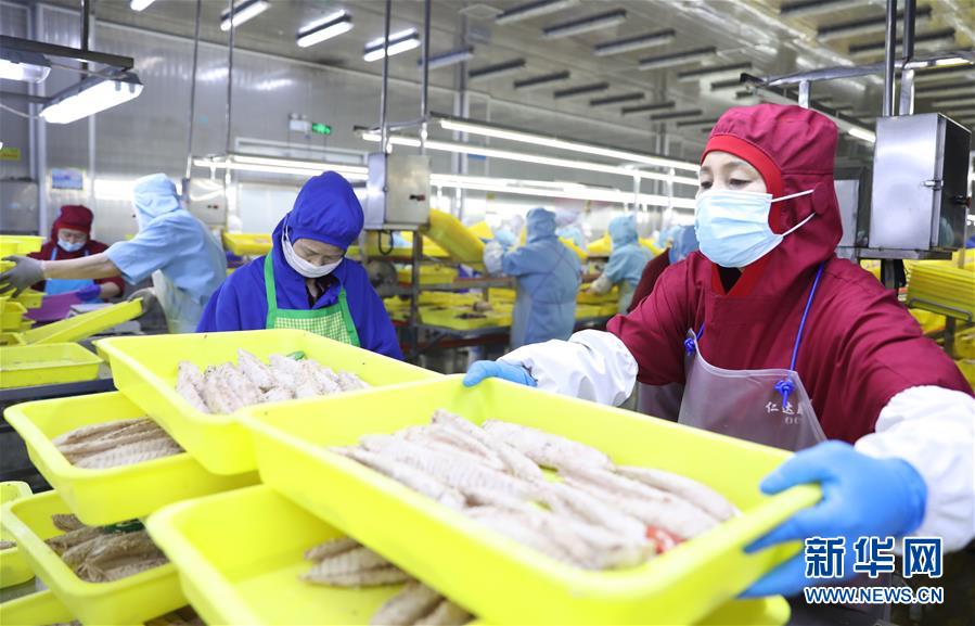 （落实“六稳”“六保”一线见闻）（3）辽宁东港：鱼产品加工生产平稳
