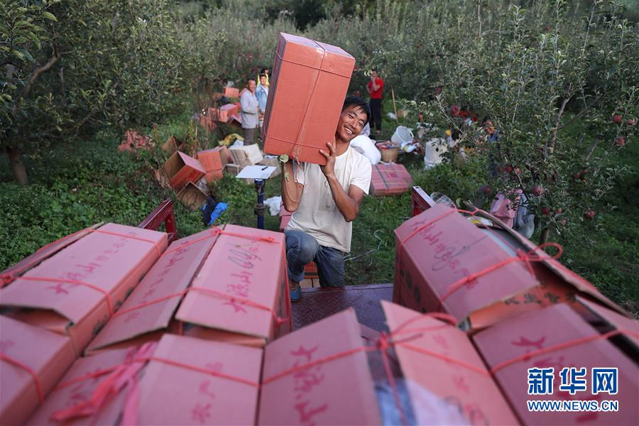 （社会）（7）“肖苹果”脱贫记