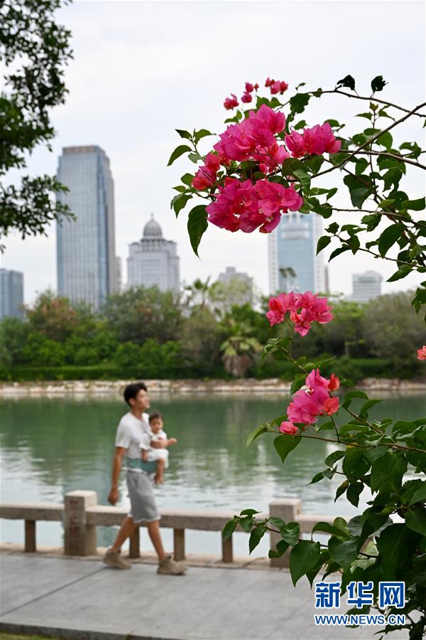 （特区40年）（5）厦门筼筜湖生态“蝶变”