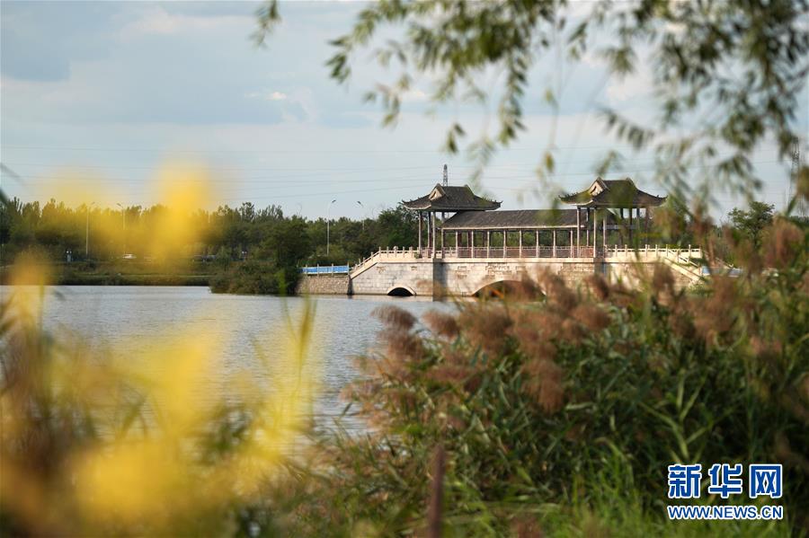 （环境）（1）河北清河：废弃荒地变身生态公园