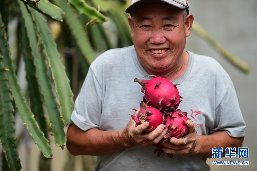 （脱贫攻坚）（1）河北青县：“扶贫大棚”助力持续增收