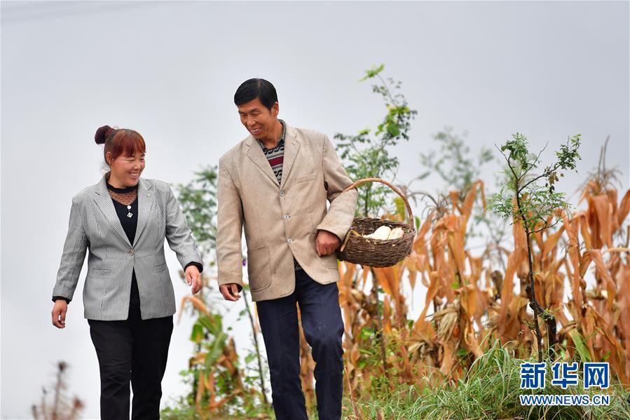 (脱贫攻坚)(1)甘肃镇原:最后脱贫户的新生活