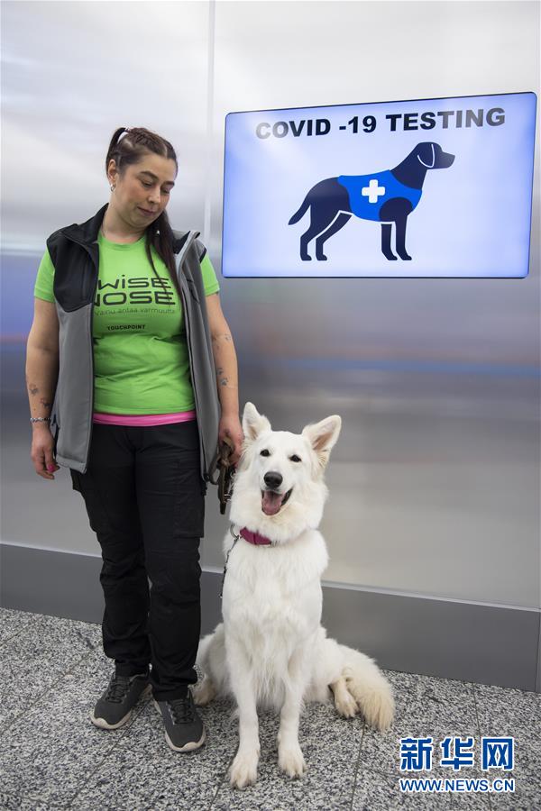 （国际疫情·图文互动）（2）芬兰国际机场将部署嗅探犬探测新冠病毒