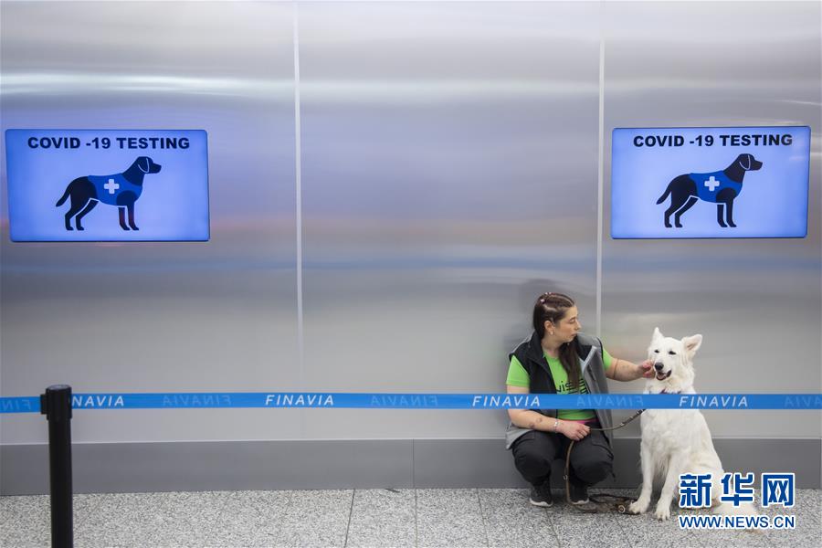 （国际疫情·图文互动）（4）芬兰国际机场将部署嗅探犬探测新冠病毒