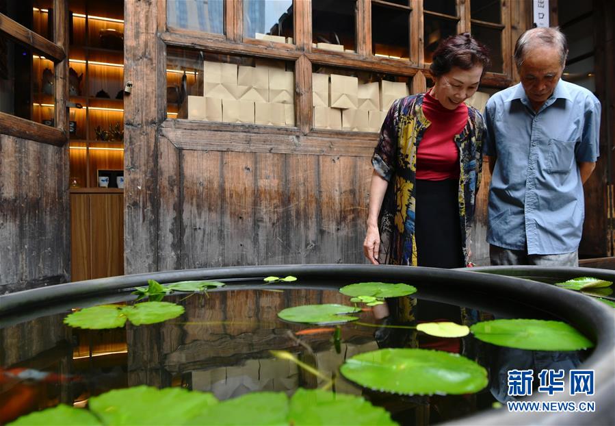 （社会）（3）3000余尾精品金鱼亮相福州三坊七巷