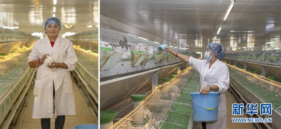 （脱贫攻坚·图片故事）（2）脱贫靠双手——新疆和田地区未摘帽县就业见闻