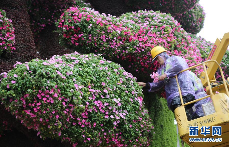 #（社会）（2）锦绣花坛迎国庆