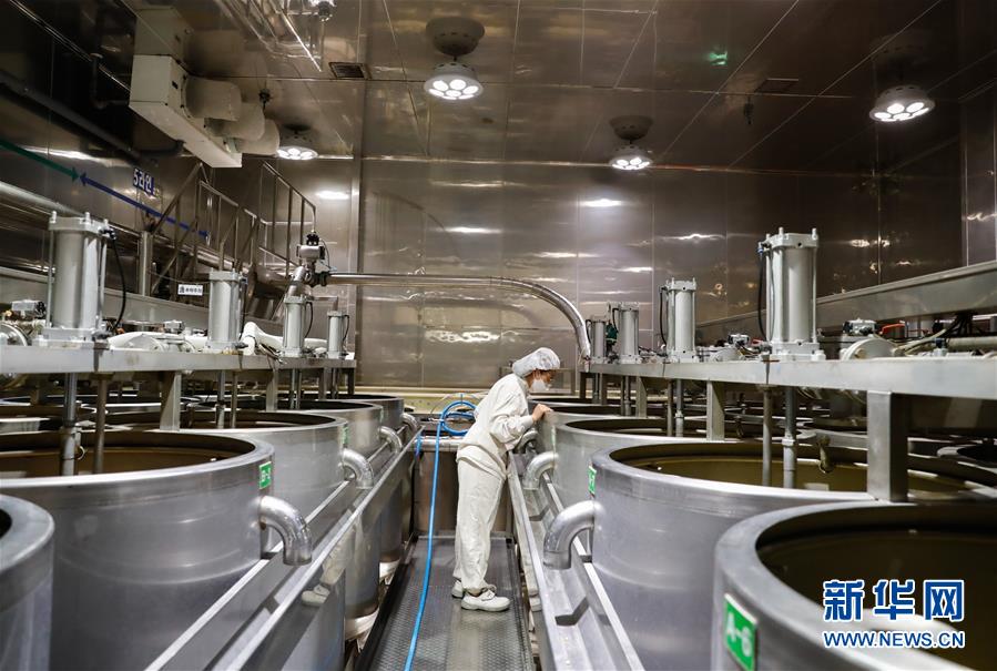 （国际·第三届进博会）（2）探访进博会参展商：韩国绿色食品企业圃美多的豆腐工厂