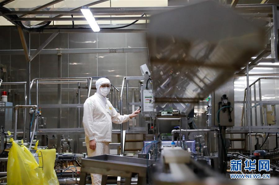 （国际·第三届进博会）（3）探访进博会参展商：韩国绿色食品企业圃美多的豆腐工厂