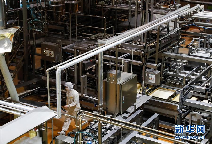 （国际·第三届进博会）（5）探访进博会参展商：韩国绿色食品企业圃美多的豆腐工厂