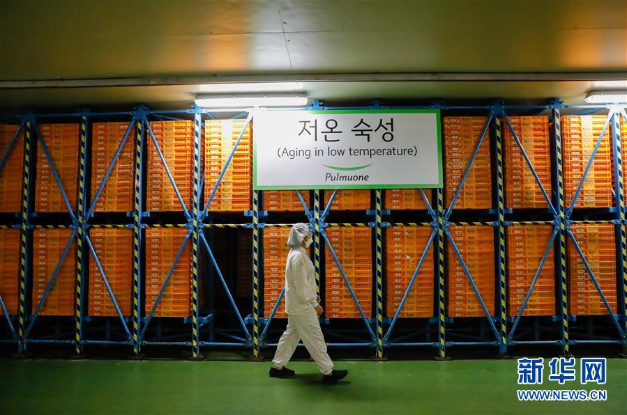 （国际·第三届进博会）（8）探访进博会参展商：韩国绿色食品企业圃美多的豆腐工厂