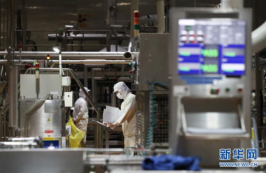 （国际·第三届进博会）（11）探访进博会参展商：韩国绿色食品企业圃美多的豆腐工厂