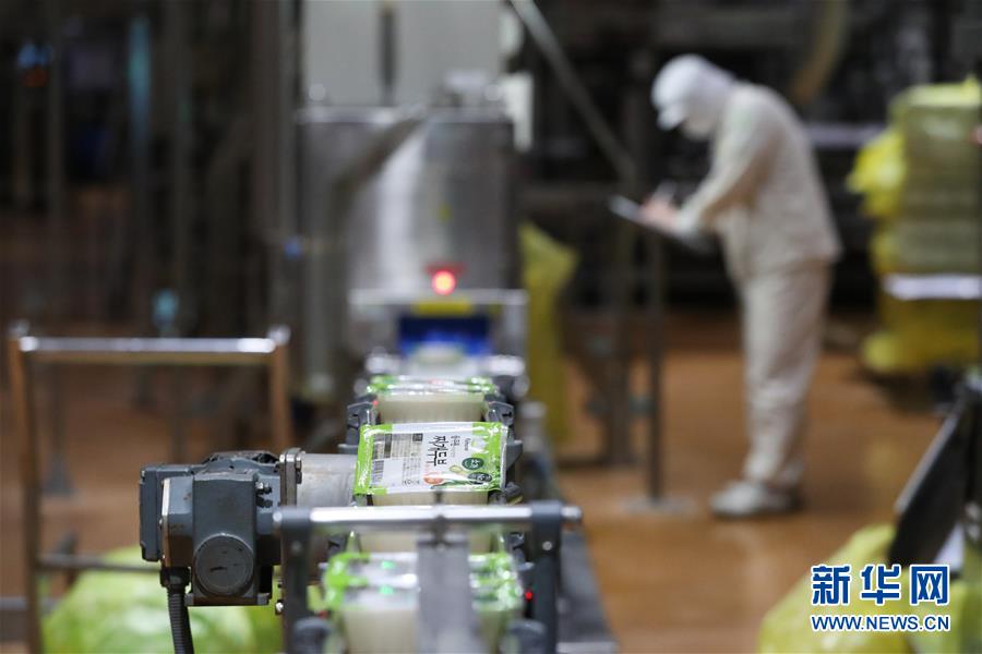 （国际·第三届进博会）（12）探访进博会参展商：韩国绿色食品企业圃美多的豆腐工厂