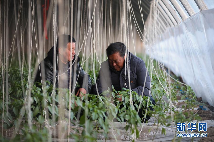 （脱贫攻坚&middot;图片故事）（3）扶贫一线的&ldquo;黑脸&rdquo;村支书