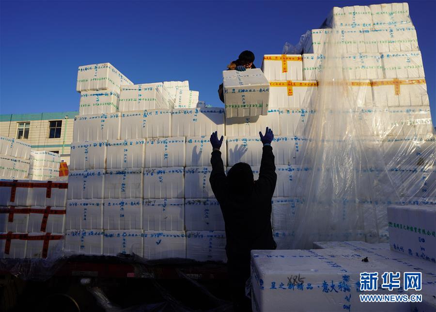 （聚焦疫情防控）（4）石家庄桥西蔬菜批发市场正常营业