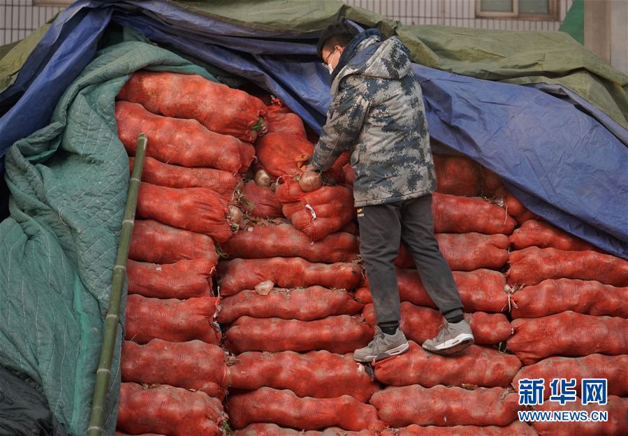（聚焦疫情防控）（5）石家庄桥西蔬菜批发市场正常营业
