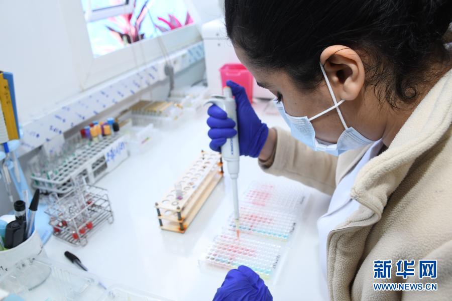 累计确诊469139例！摩洛哥：样本检测