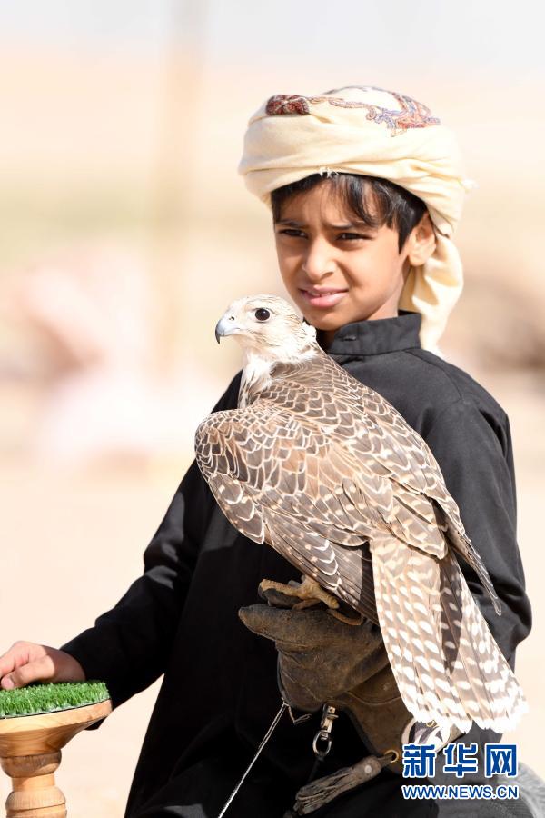科威特：鹰隼狩猎