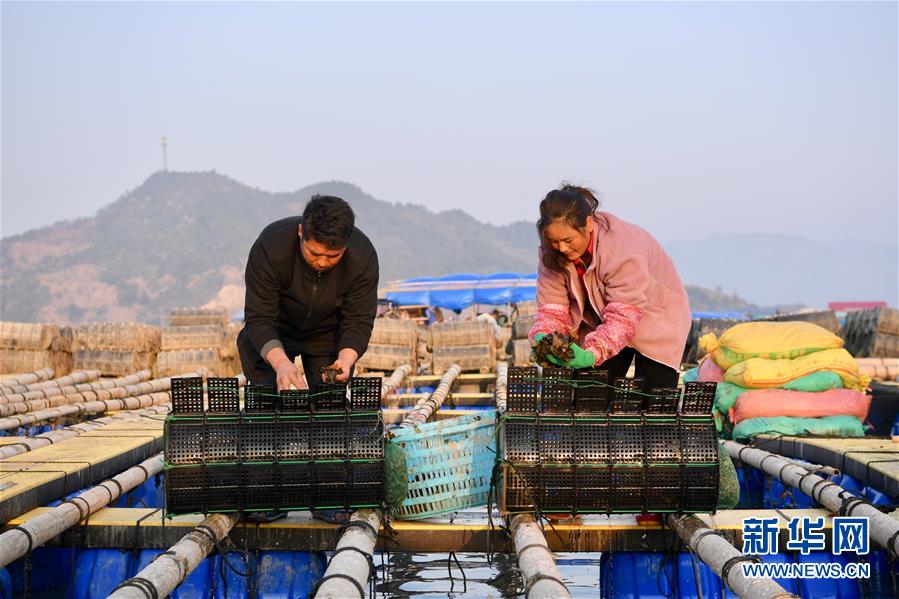 （新春走基层）（1）从山到海&mdash;&mdash;&ldquo;春运母亲&rdquo;巴木玉布木开启海上养殖新职业