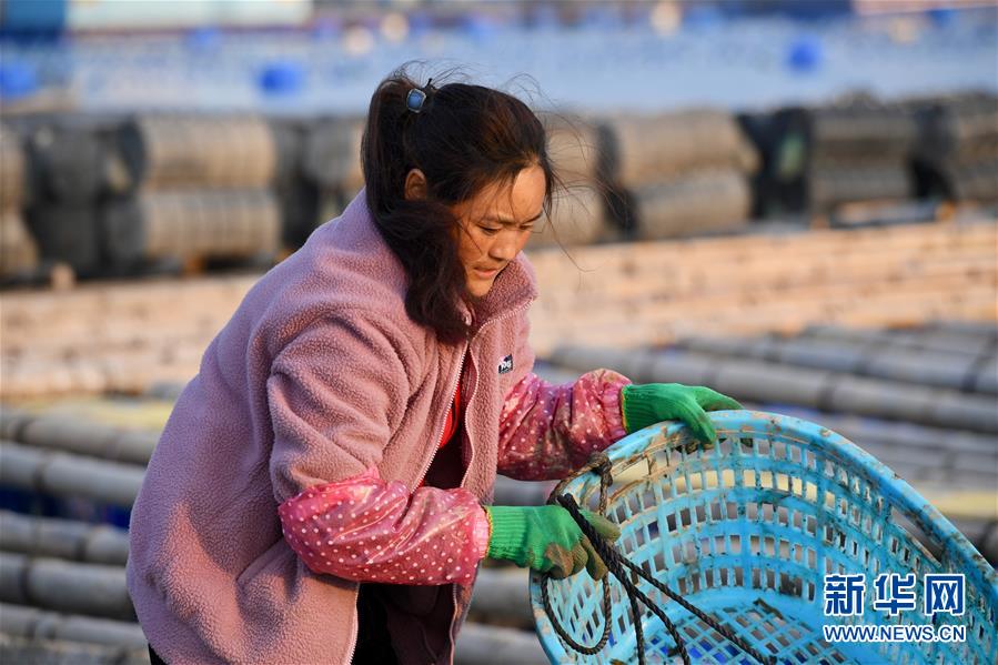 （新春走基层）（3）从山到海&mdash;&mdash;&ldquo;春运母亲&rdquo;巴木玉布木开启海上养殖新职业