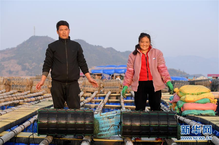 （新春走基层）（7）从山到海&mdash;&mdash;&ldquo;春运母亲&rdquo;巴木玉布木开启海上养殖新职业