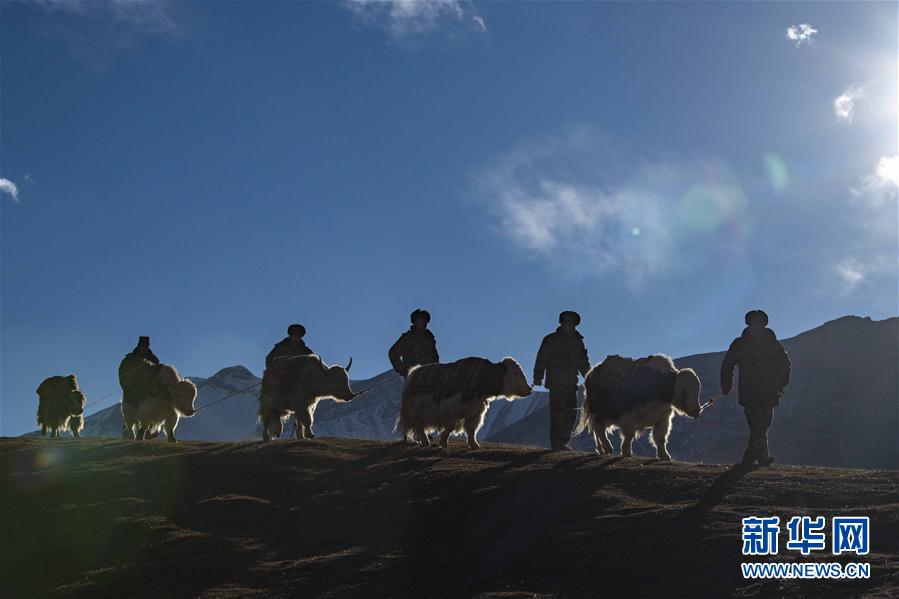 （镜观中国&middot;新华视界）（4）牛年话牛