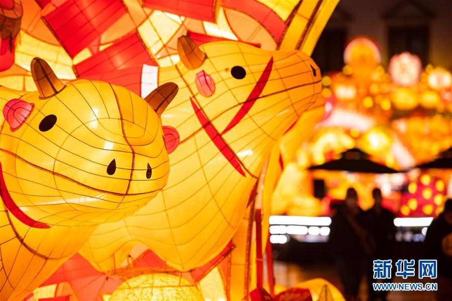 （镜观中国&middot;新华视界）（14）牛年话牛