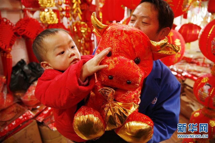 （镜观中国&middot;新华视界）（24）牛年话牛