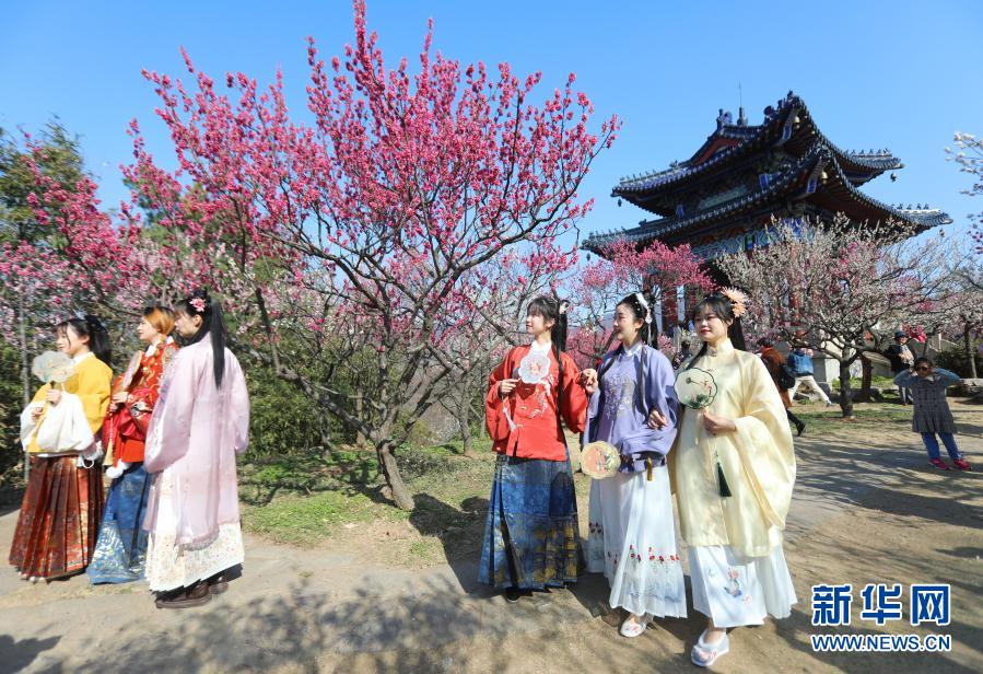 南京国际梅花节开幕：梅绽金陵 礼赞百年