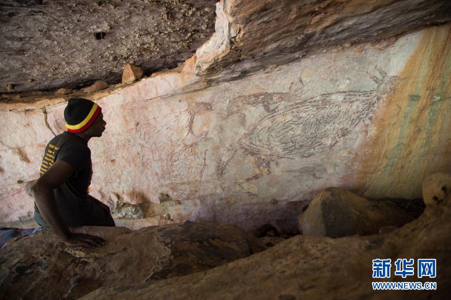 长达2米！1.7万年前袋鼠岩画被确定为澳大利亚最古老的完整岩石画