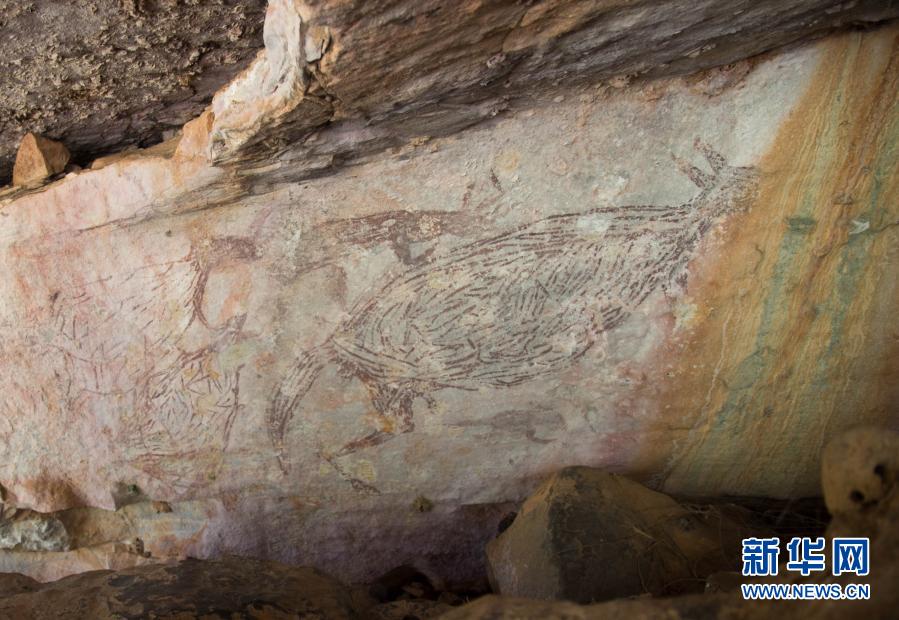 长达2米！1.7万年前袋鼠岩画被确定为澳大利亚最古老的完整岩石画