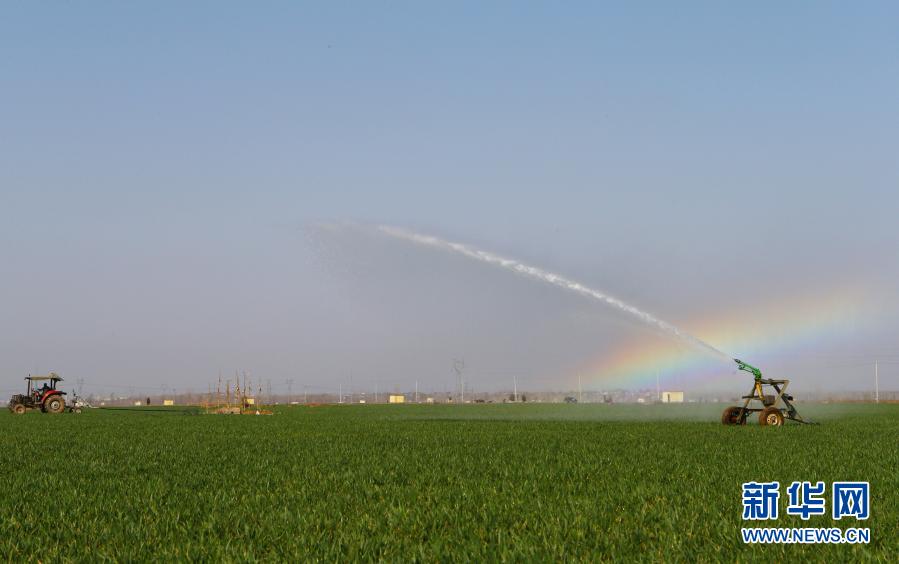 鹤壁浚县：春耕农忙正当时