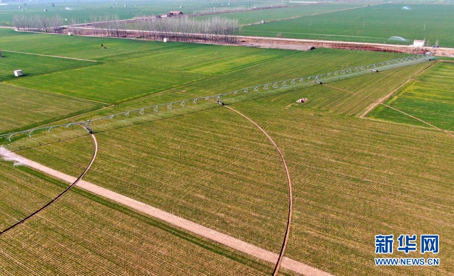 鹤壁浚县：春耕农忙正当时