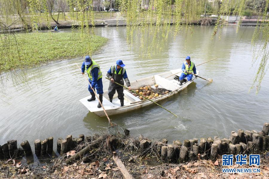 浙江湖州：水网密布 做好水域“美容师”