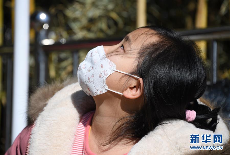 （图文互动）（20）&ldquo;抗癌小家&rdquo;：生命寒夜中的微温