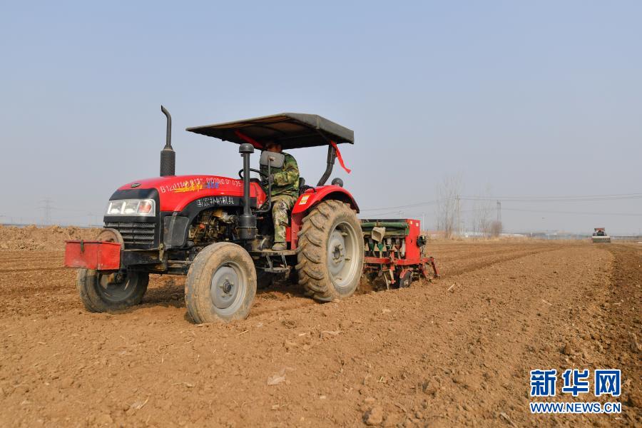 气温稳步回升！天津：春小麦播种进行时