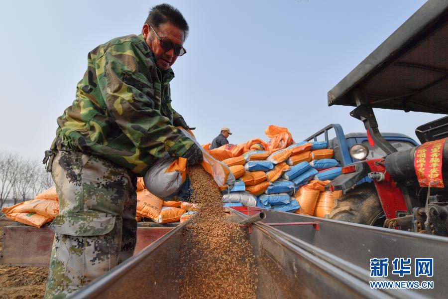 气温稳步回升！天津：春小麦播种进行时