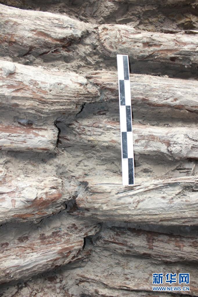 考古：山西发现一口2000余年前的大型木构水井