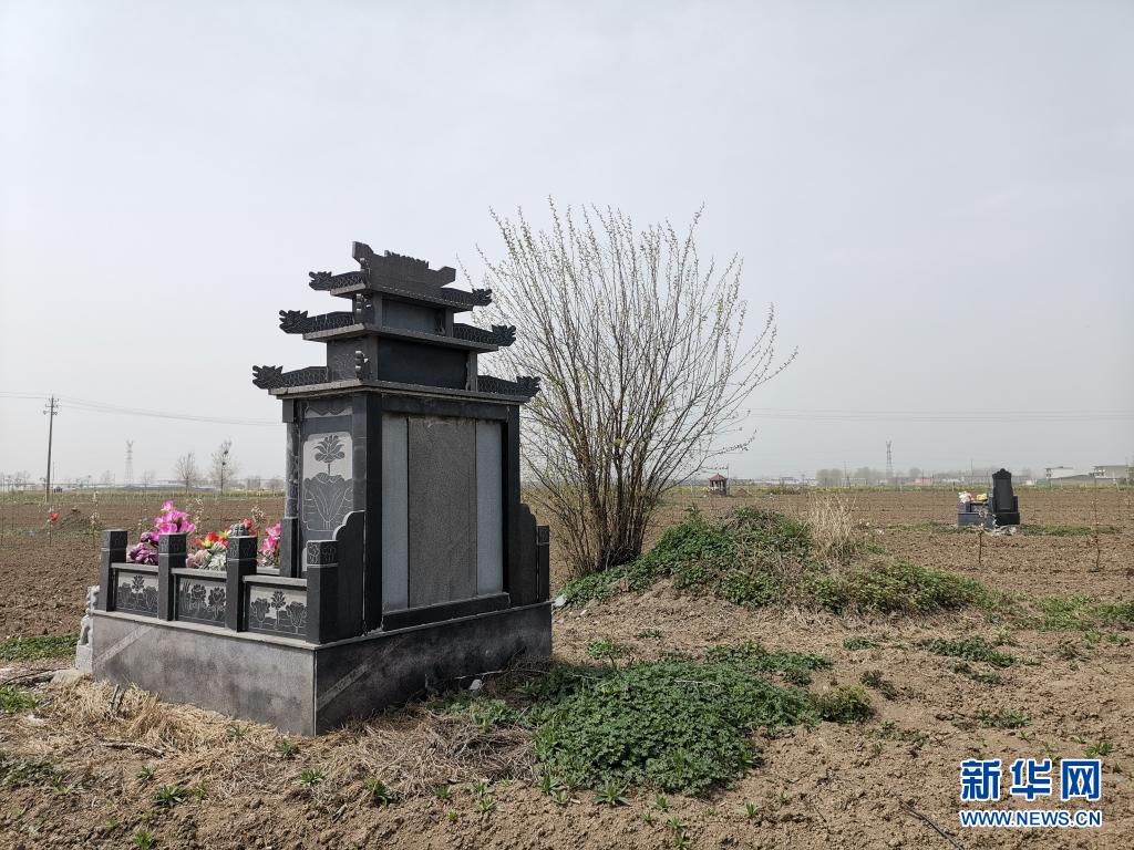 安徽亳州：麦田“长”出豪华墓，农村公益性墓地建设需有序推进