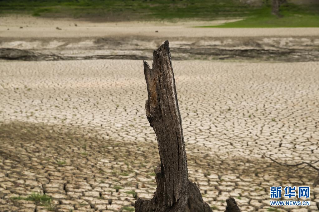 美国加州：愈发温暖干燥 雨季即将结束