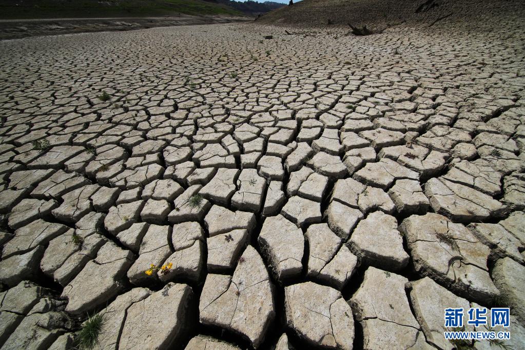 美国加州：愈发温暖干燥 雨季即将结束