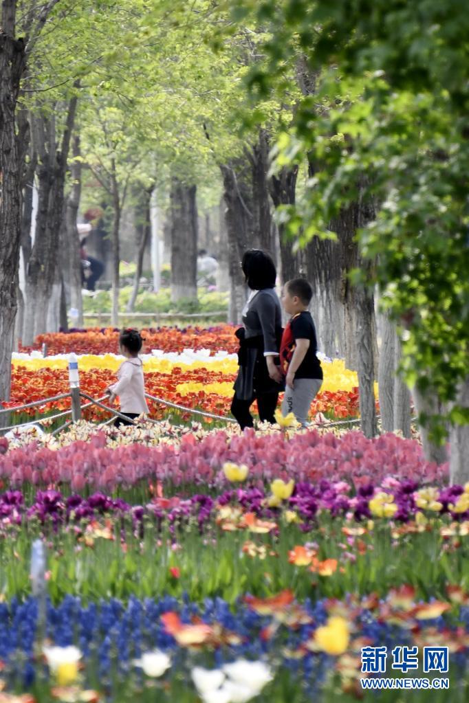 北京：永定河畔休闲赏花