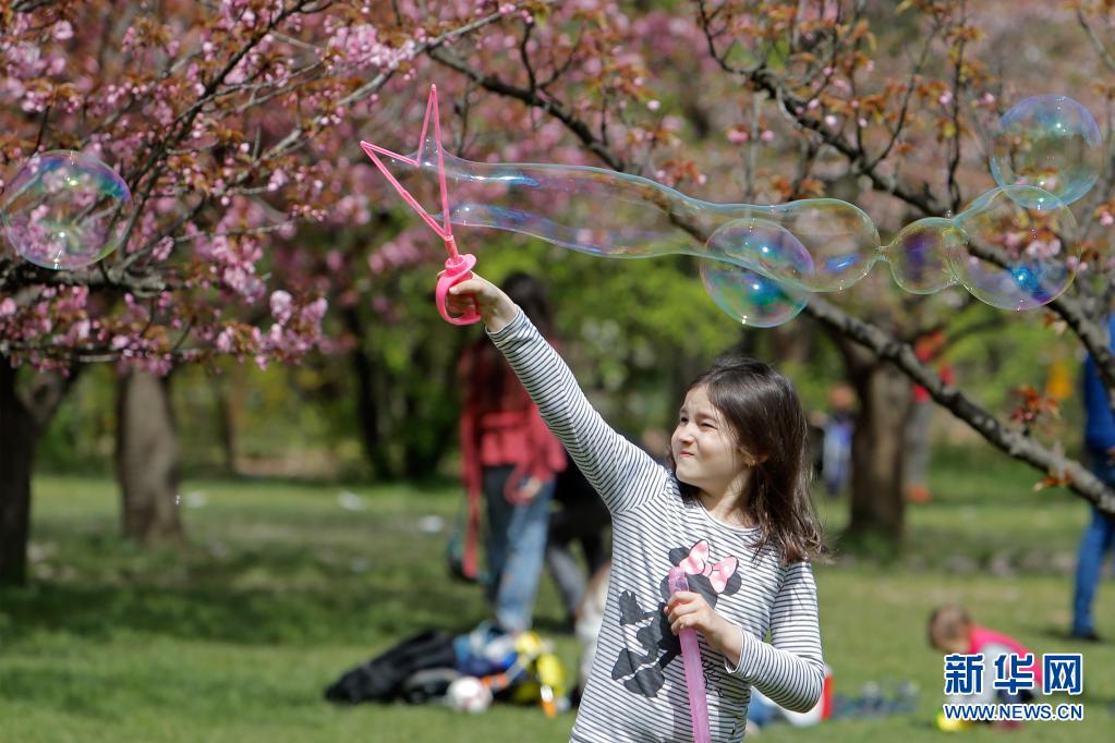 罗马尼亚：阳光下的周末