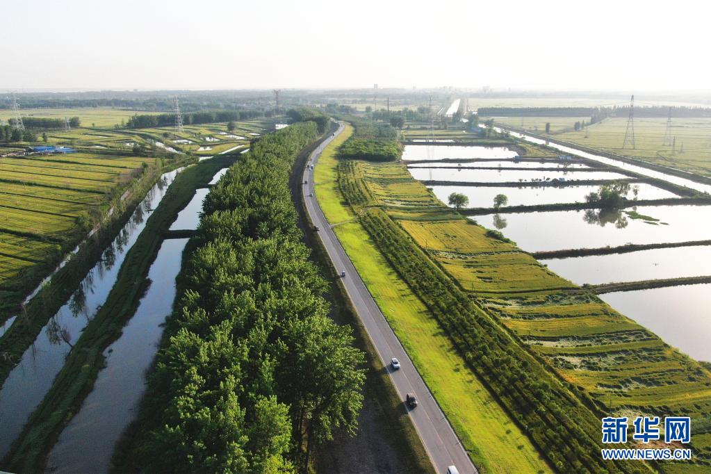 警惕！淮河流域即将全面入汛 强化“四预”措施严阵以待