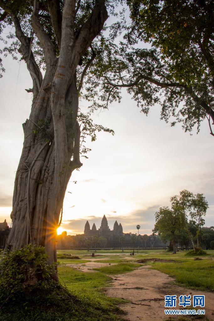 【组图】柬埔寨吴哥古迹等待游客到来