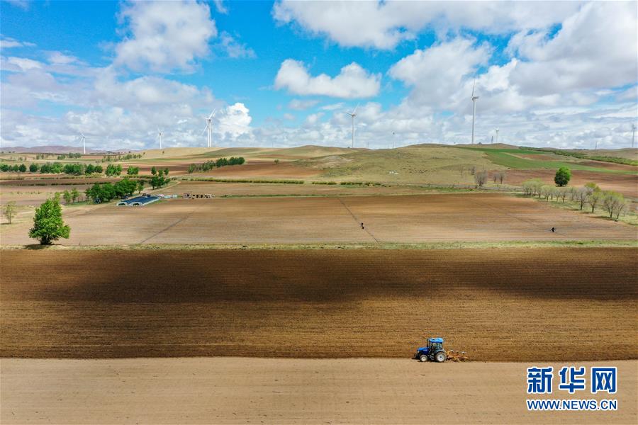 （镜观中国&middot;新华社国内新闻照片一周精选）（13）塞上春耕展画卷