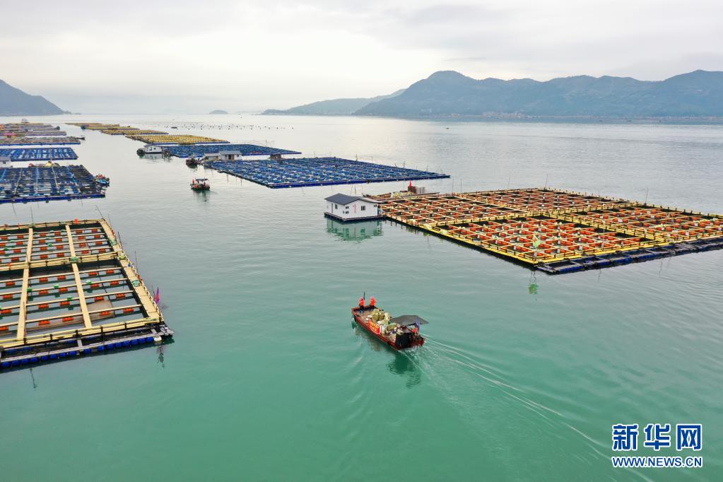 福建宁德：加强海漂垃圾整治 保护海洋环境