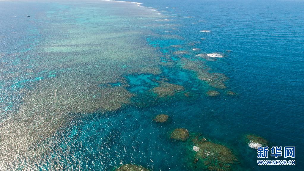 世界海洋日：澳大利亚大堡礁多次出现珊瑚大规模白化现象