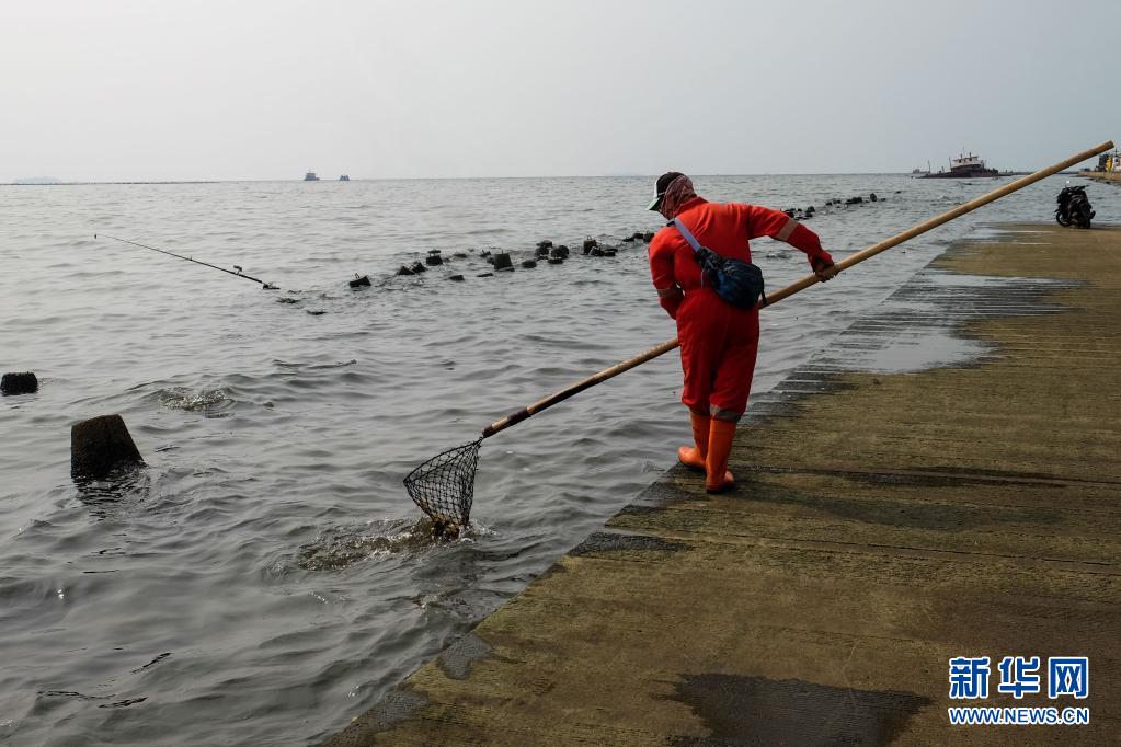 世界海洋日：印度尼西亚清理海岸