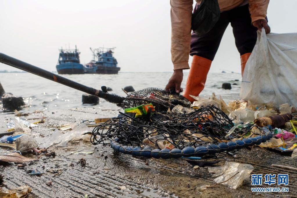 世界海洋日：印度尼西亚清理海岸